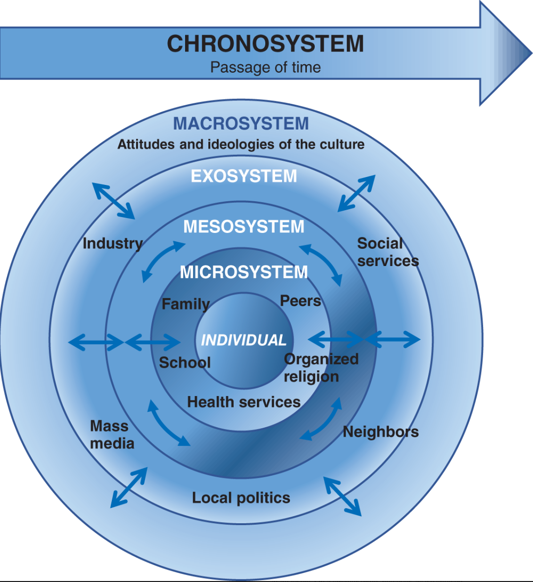 The picture illustrates Bronfenbrenner's model. It is a series of circles, one embedded into the other. The most external circle is named Macrosystem. The second external circle is the exosystem. The next inner circle is named mesosystem. The next inner circle is labeled as microsystem, and final the most inner circle is named individual